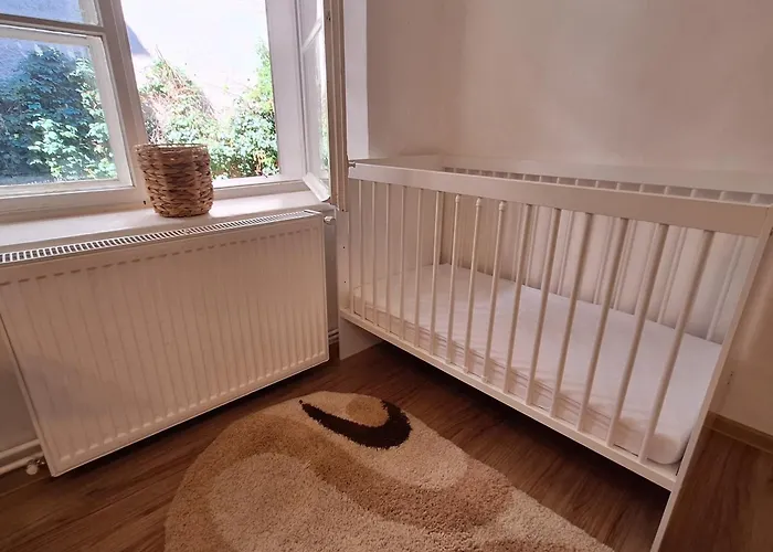 아파트 Casa Clopotarului *