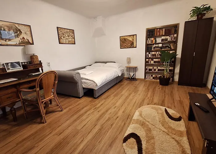 Casa Clopotarului Apartment *